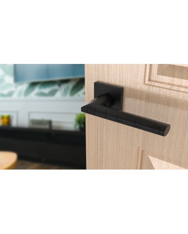 Tirador de puerta negra JASMINA tirador de diseño vista inclinada montada en una puerta