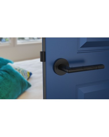 Manecilla de puerta clásica KALMIA diseño vista frontal montada en una puerta