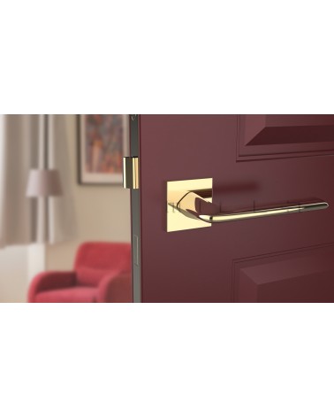 Tirador de puerta oro pulido LILA diseño vista frontal montada en una puerta
