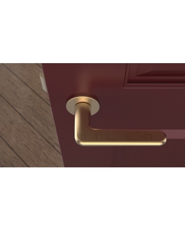 Palanca de puerta dorada mate LIRA manilla de diseño vista superior montada en una puerta