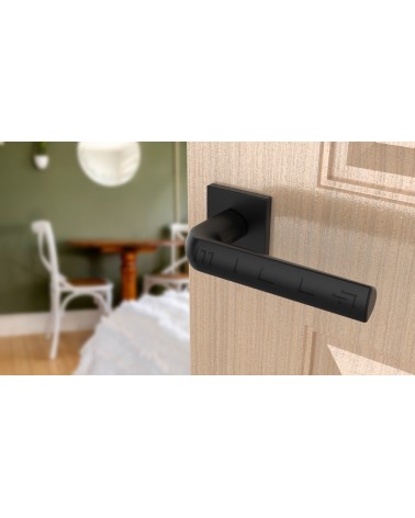 Tirador de puerta negra MELA manilla de diseño vista inclinada montada en una puerta