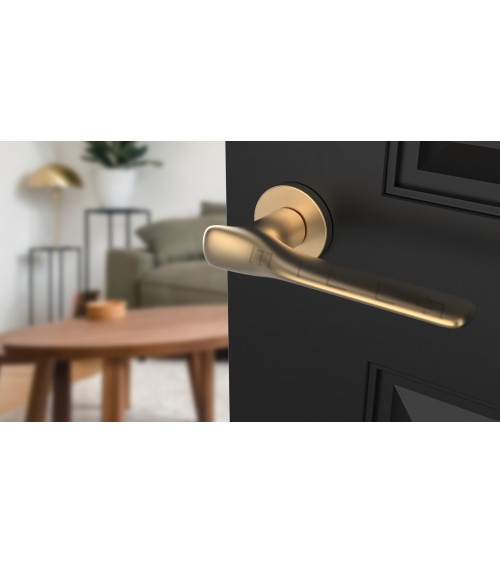 Tirador de puerta en oro mate ORCHIDE diseño