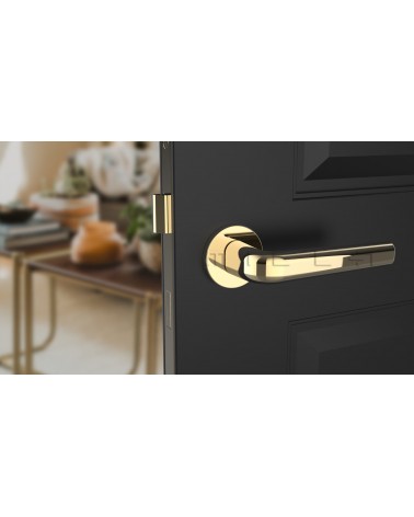Tirador de puerta oro pulido INULLA tirador de diseño vista frontal montada en una puerta