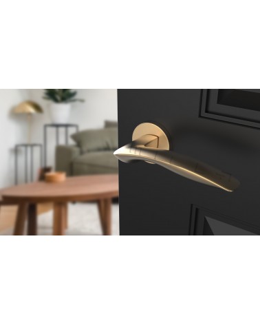 Tirador de puerta oro mate ROBINE herraje de diseño vista superior inclinada montado en una puerta