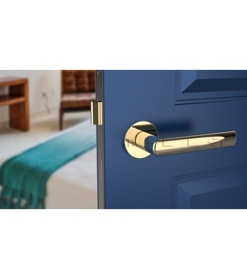 Tirador de puerta oro pulido SILENA herraje decorativo