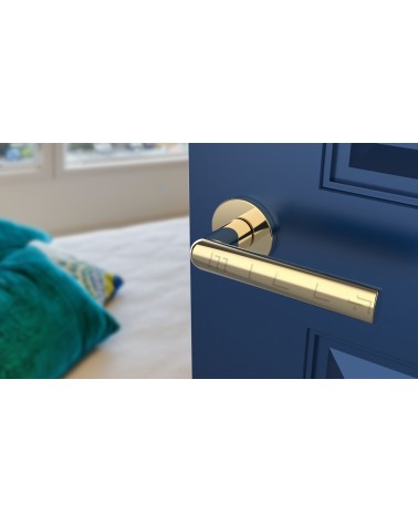 Tirador de puerta oro pulido SILENA herrajes design vista inclinada montada en una puerta