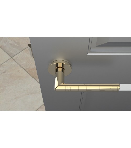 Tirador de puerta oro pulido SILENA herraje decorativo