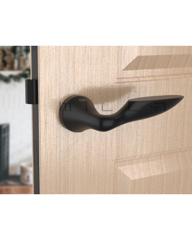 Manilla negra DOUCE diseño vista inclinada montada en una puerta