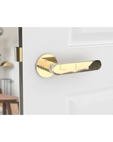 Tirador de puerta oro pulido Line Vénus tirador de diseño vista inclinada montado en una puerta