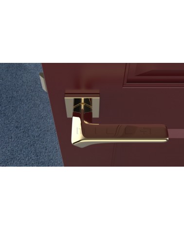 Manija de puerta sobre placa cuadrada BERGERIA manija de diseño vista superior montada en una puerta