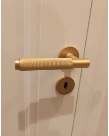 Tirador de puerta dorado satinado Time Slim diseño montada en una puerta vista frontal