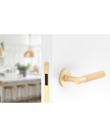 Tirador de puerta dorado satinado Time Slim diseño montada en una puerta