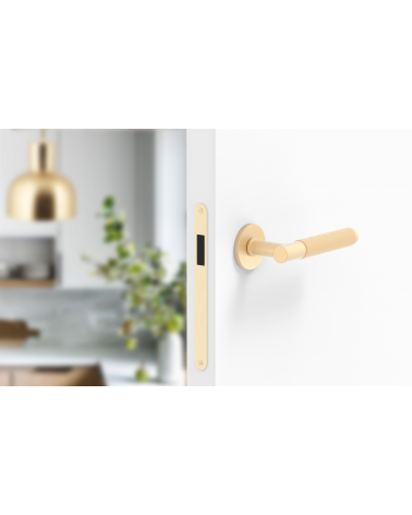 Tirador de puerta dorado satinado Time Slim diseño montada en una puerta entreabierta