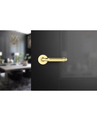 Tirador de puerta oro pulido ARIA Slim tirador de diseño vista de frente montado en una puerta