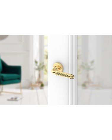 Tirador de puerta oro pulido ARIA Slim tirador de diseño montado en una puerta entreabierta