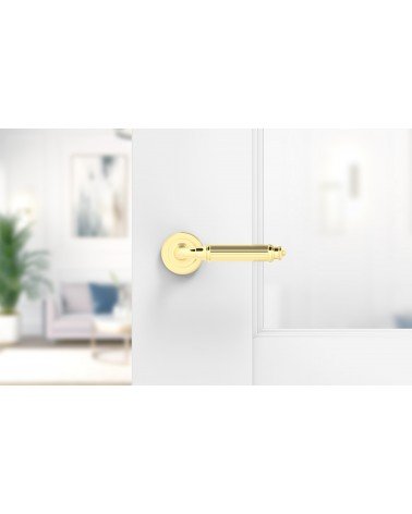 Tirador de puerta oro pulido ARIA Slim tirador de diseño montado en una puerta