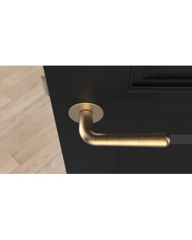 Tirador de puerta dorado satinado IRGA tirador de diseño vista superior montada en una puerta