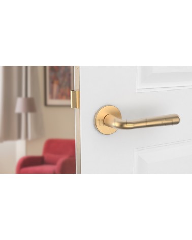 Tirador de puerta dorado satinado IRGA tirador de diseño vista inclinada montada en una puerta