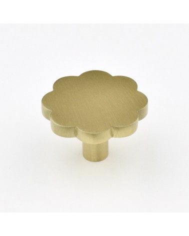 Botón de mueble en latón Fleur 08 tirador de diseño