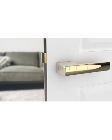 Manilla dorado pulido BRISA diseño montada en una puerta