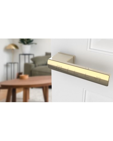 Manilla dorado pulido BRISA diseño montada en una puerta entreabierta