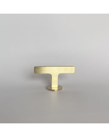Botón de mueble en latón ISA T diseño vista de frente