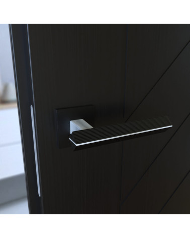 Palanca de puerta bicolor cromo cepillado/negro CARRERA palanca de diseño montada en una puerta