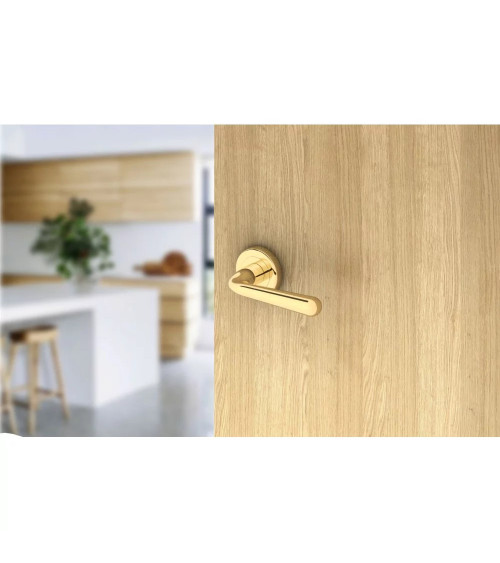 Tirador de puerta oro pulido HANDY herraje design