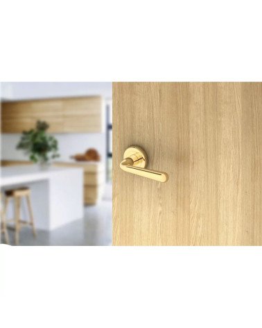 Tirador de puerta oro pulido HANDY herraje design ligeramente inclinada montada en una puerta
