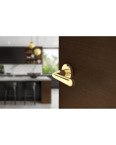 Tirador de puerta oro pulido HANDY herraje design vista lateral montada en una puerta