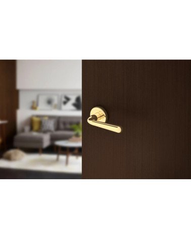 Tirador de puerta retro HANDY tirador de diseño montado en una puerta entreabierta