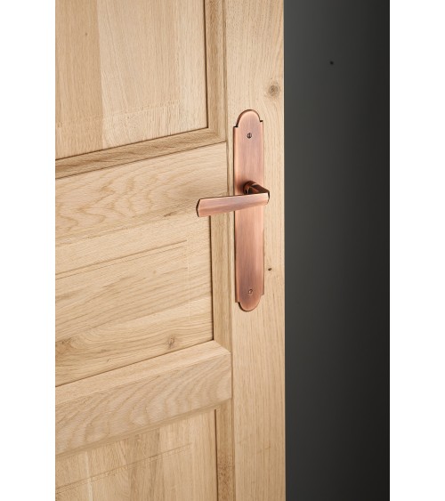 Tirador de puerta moderno sobre placa Latón - MADE IN FRANCE - tirador diseño
