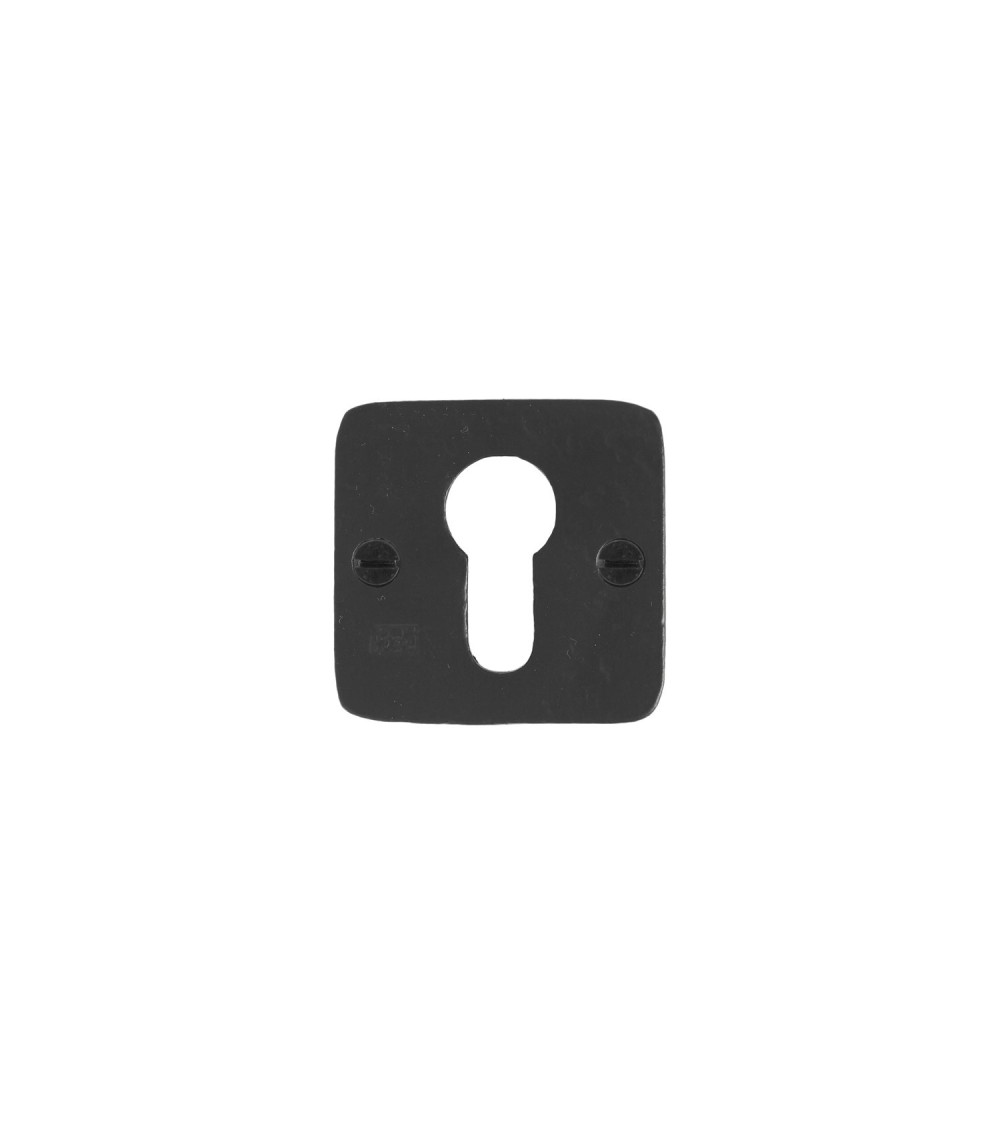 Roseta de puerta PURE llave PZ-50Q - herraje decorativo