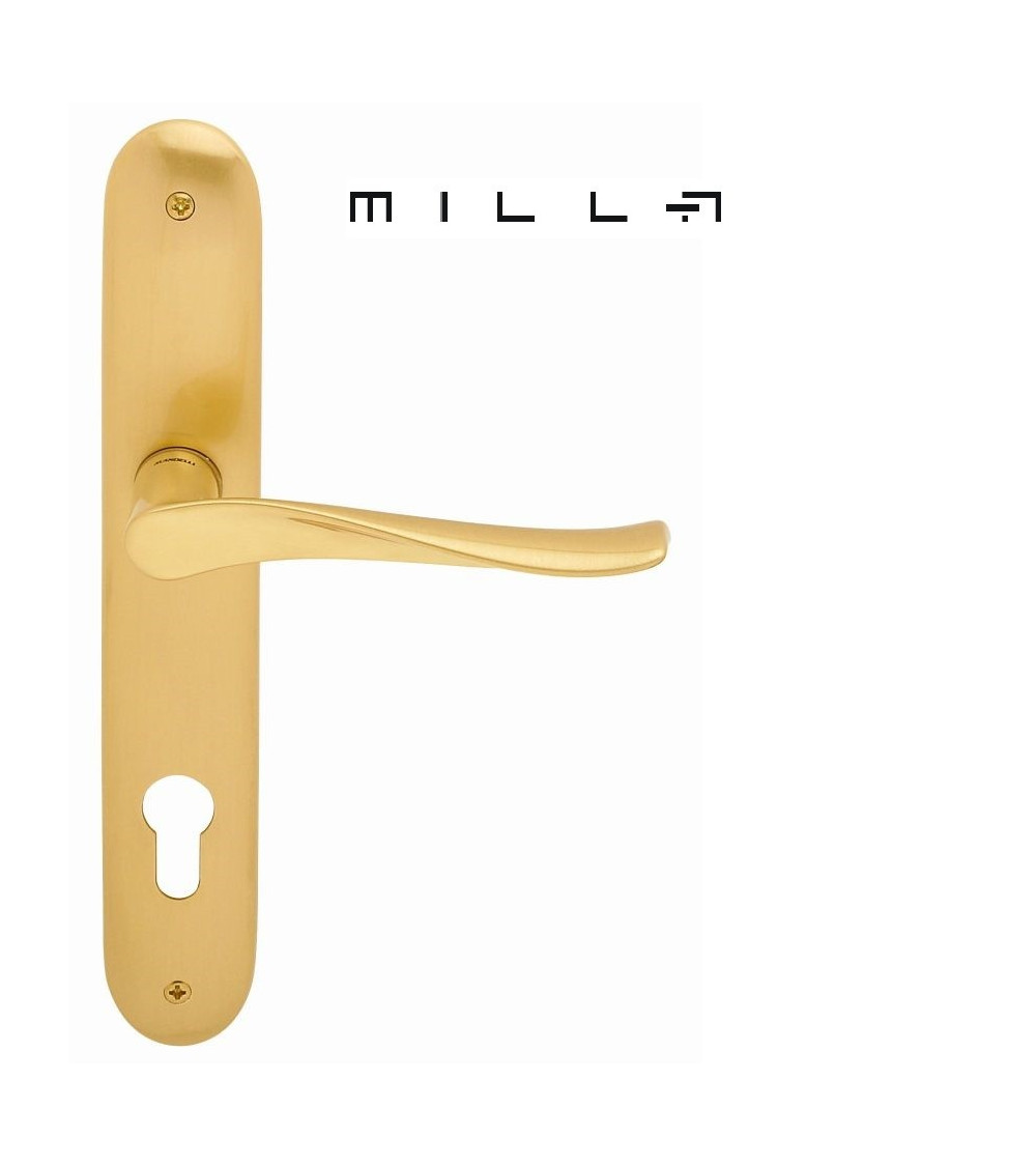 Tirador de puerta sobre placa longitudinal Mandelli Spin herraje decorativo
