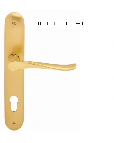 Tirador de puerta sobre placa longitudinal Mandelli Spin herraje decorativo