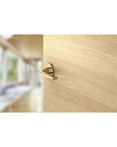 Tirador de puerta oro pulido Scandi slim herraje de diseño montado en una puerta
