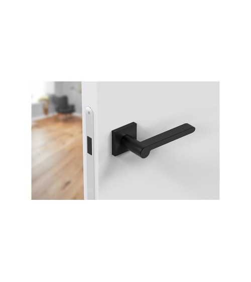 Manilla de puerta negra Pandora herrajes de diseño