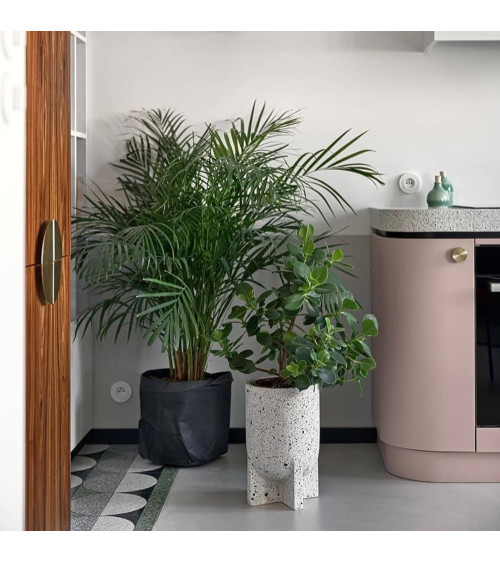 Botón de mueble dorado mate TOVE tirador de diseño