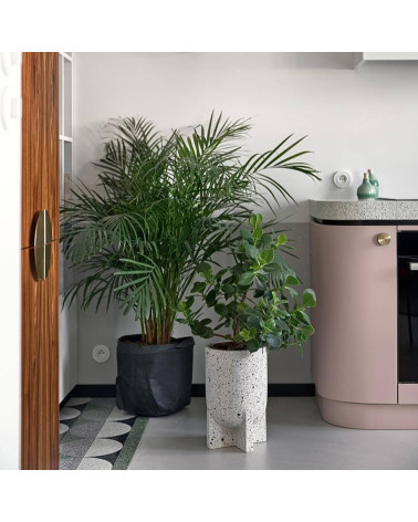 Tirador de mueble dorado mate TOVE diseño visto de frente montado en un mueble de cocina con planta verde