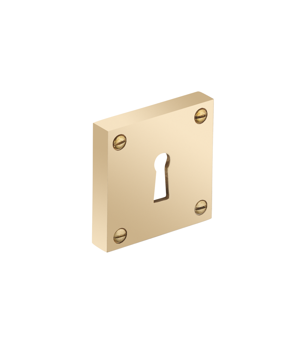 Escudo cuadrado grueso con tornillos visibles - ojo de llave - R354CL