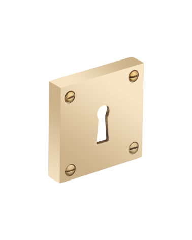 Escudo cuadrado grueso con tornillos visibles - ojo de llave - R354CL