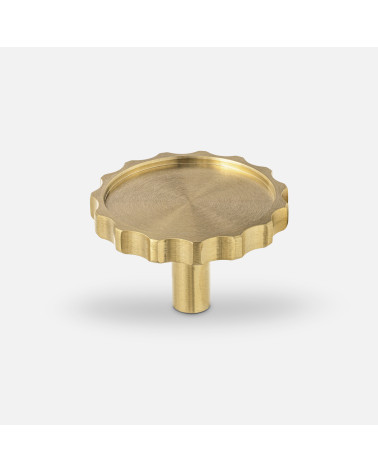 Botón de mueble dorado pulido LEXI tirador de diseño