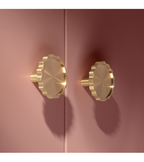 Botón de mueble dorado pulido LEXI tirador de diseño