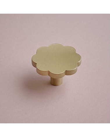 Tirador de mueble de latón Fleur 08 diseño sobre fondo rosa