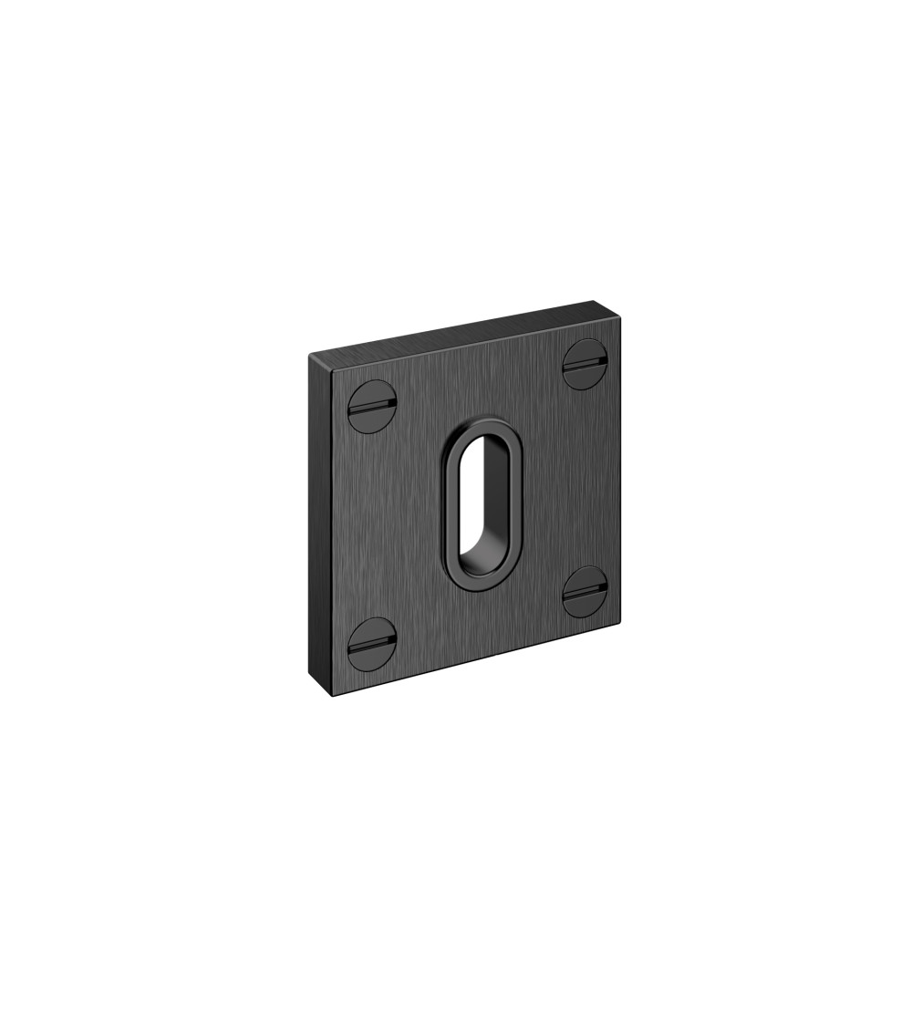 Roseta de puerta BAUHAUS llave de habitación