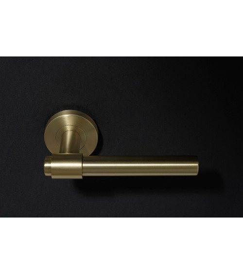 Tirador Iraty Oro satinado PVD Grado 3