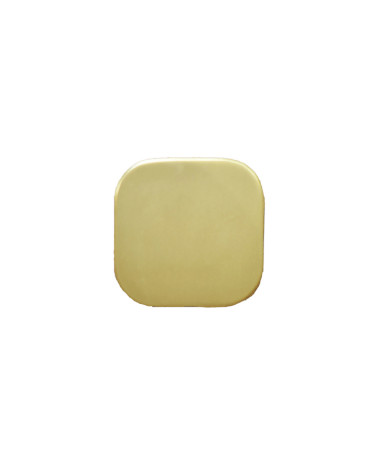 Percha de pared cuadrada fina inox Oro Satinado D.60
