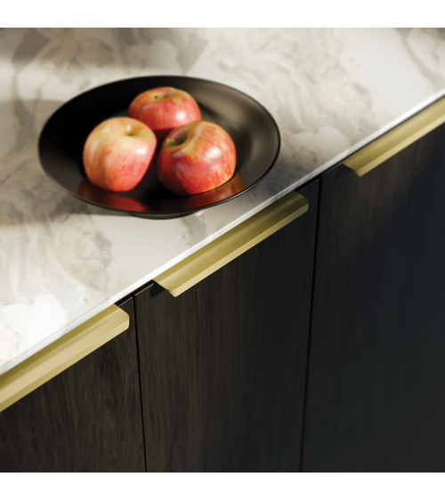 Tirador de mueble anodizado en oro TERRA PRO tirador de diseño
