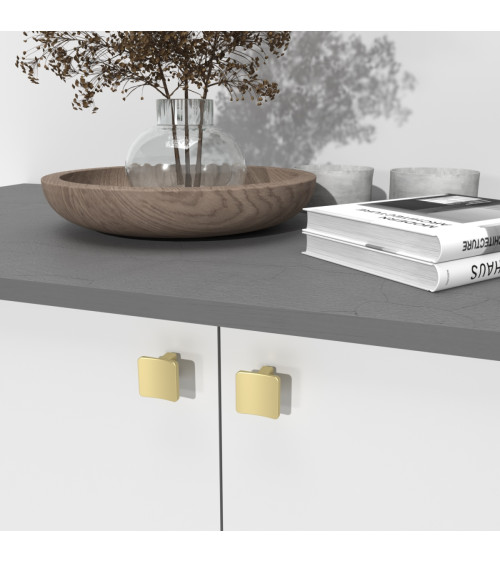 Botón de mueble dorado mate SIENA tirador de diseño