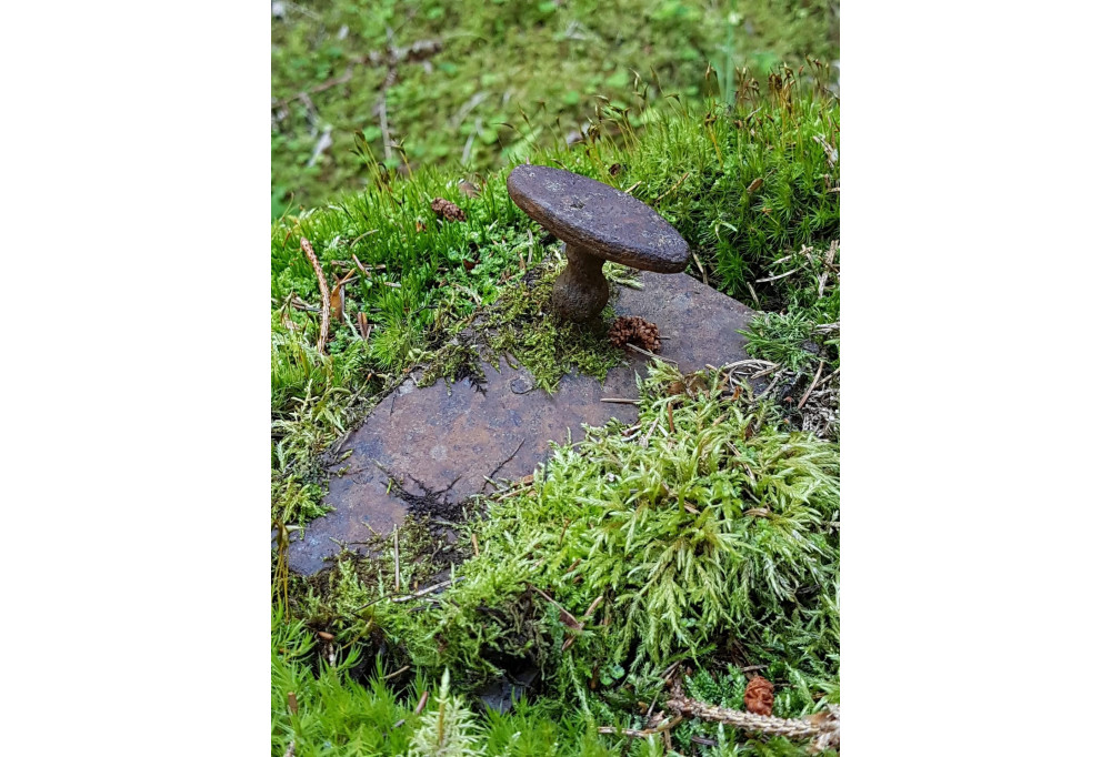 Tiradores de puerta inspirados por la naturaleza